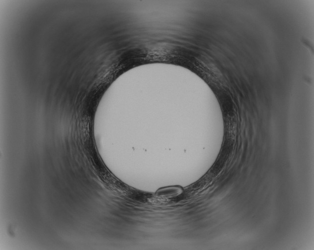 X0000097800603200804041316