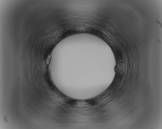 X0000097800605200804041316