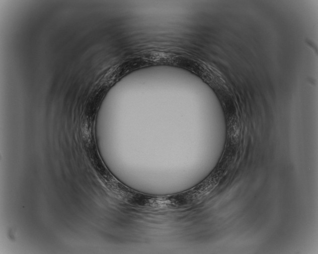 X0000097800607200804041316