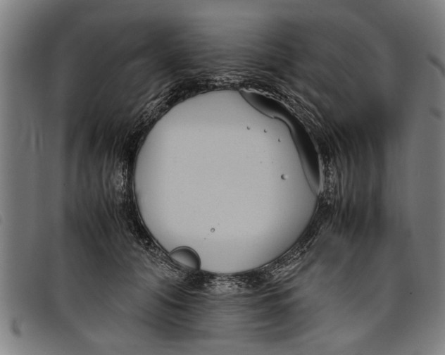 X0000097800608200804041316