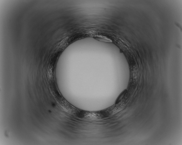 X0000097800611200804041316