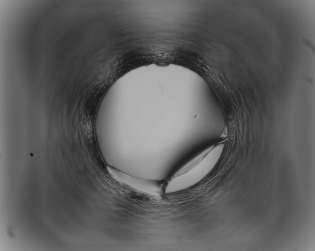 X0000097800613200804041316