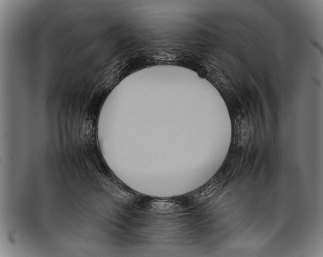 X0000097800614200804041316