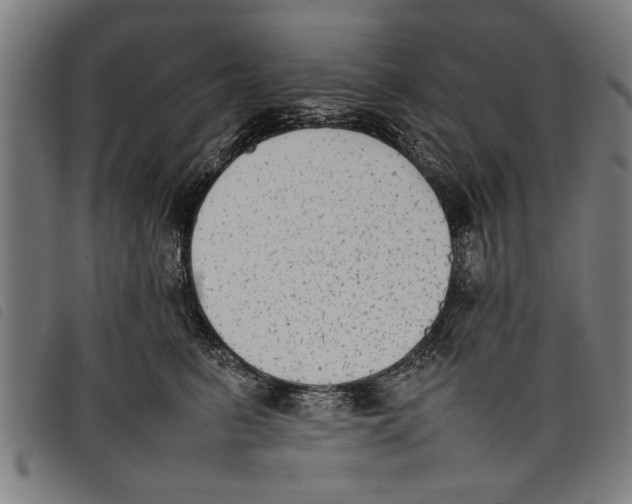 X0000097800615200804041316