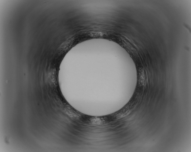 X0000097800616200804041316