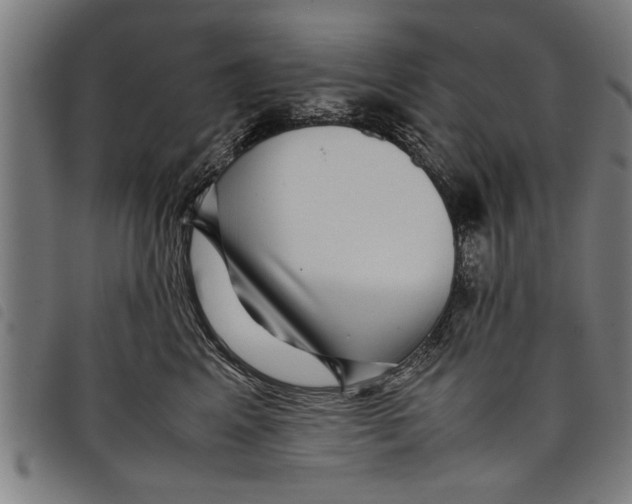 X0000097800617200804041316