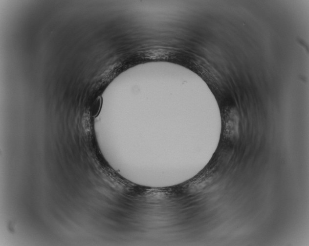 X0000097800620200804041315