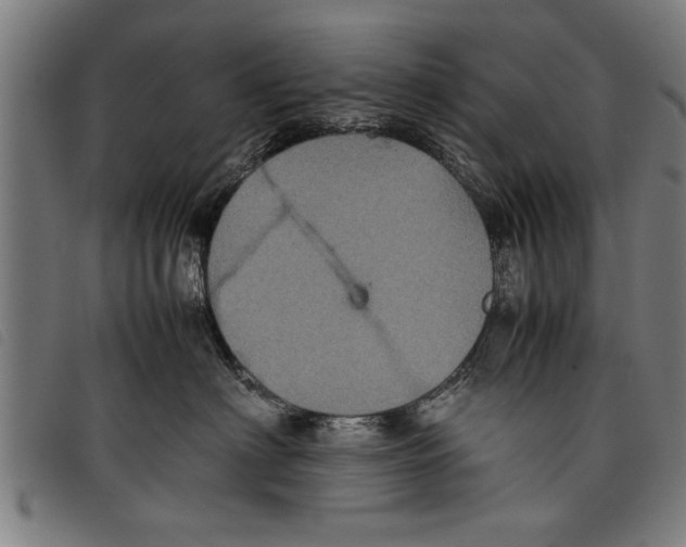 X0000097800622200804041315