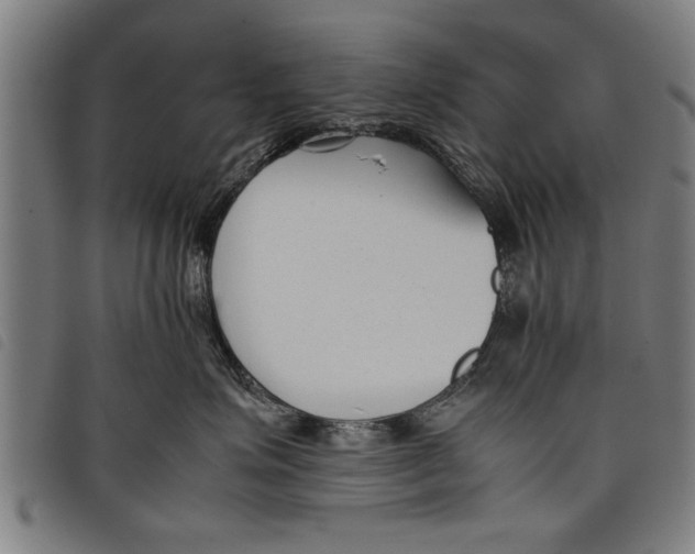 X0000097800623200804041315