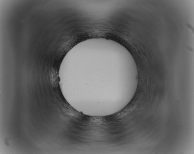 X0000097800624200804041315