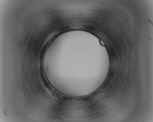 X0000097800626200804041315