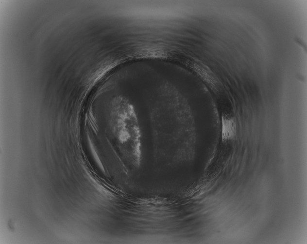 X0000097800627200804041315