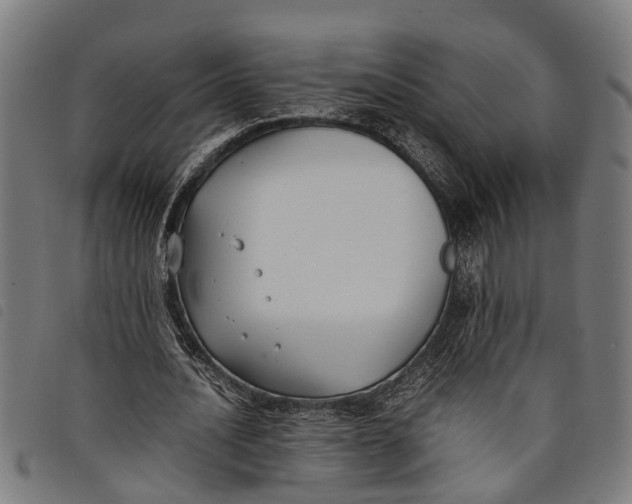 X0000097800628200804041315