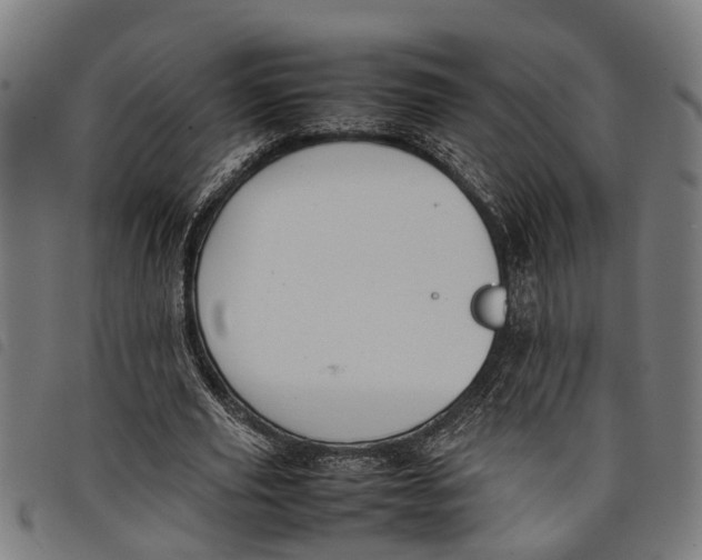 X0000097800629200804041315