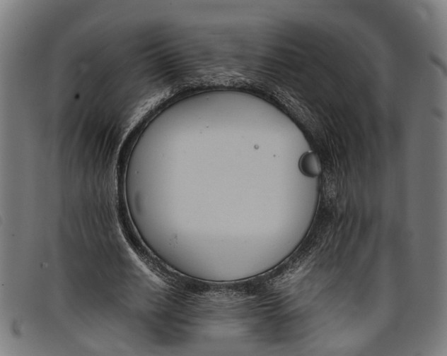 X0000097800630200804041315