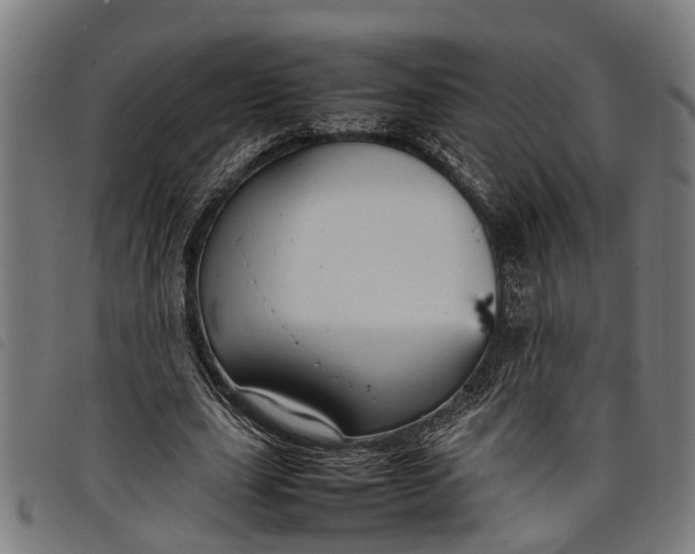 X0000097800631200804041315