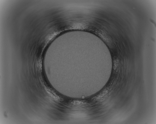 X0000097800632200804041315