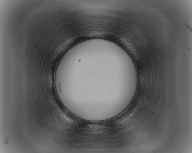 X0000097800633200804041315