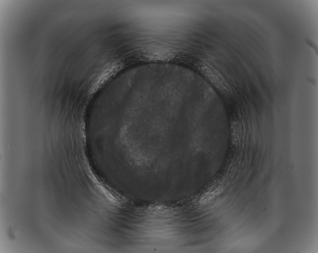 X0000097800634200804041315