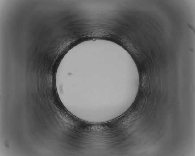 X0000097800636200804041315