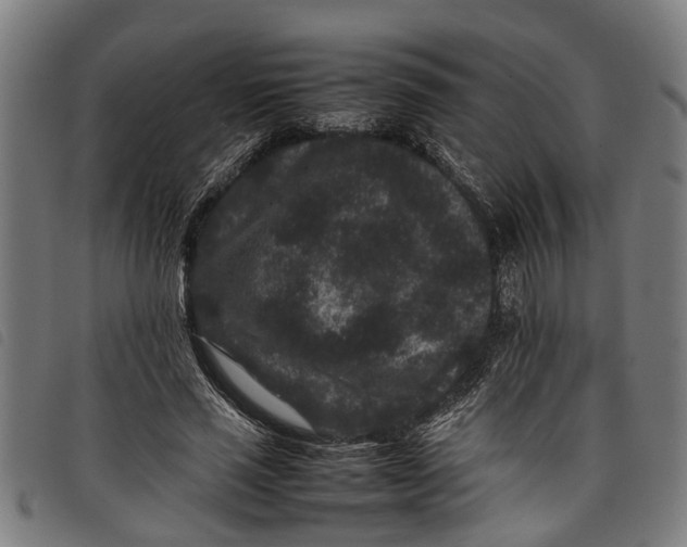 X0000097800637200804041315