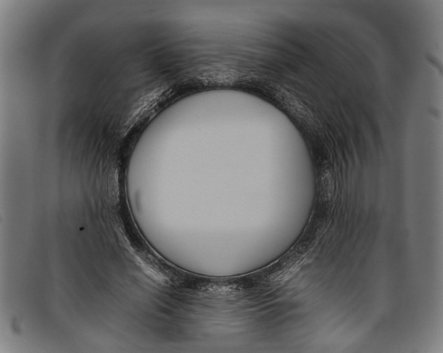 X0000097800638200804041315