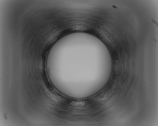 X0000097800639200804041315