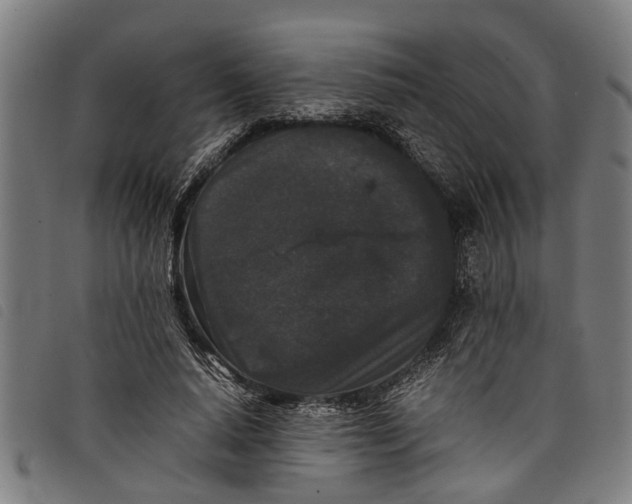 X0000097800640200804041315