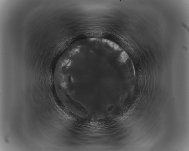 X0000097800641200804041315