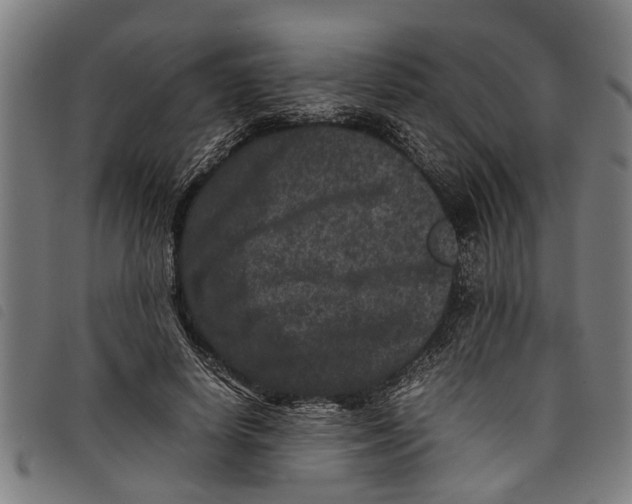 X0000097800642200804041315