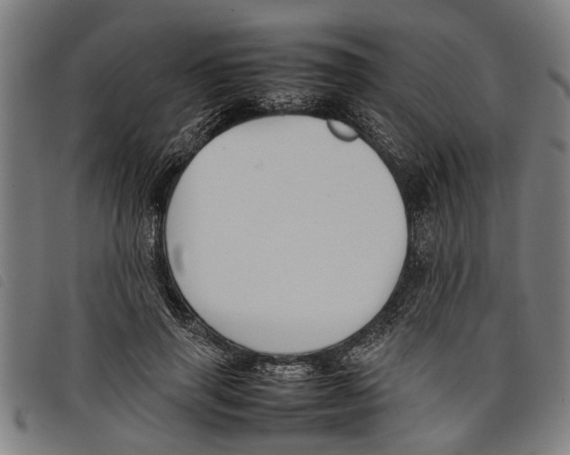 X0000097800645200804041315