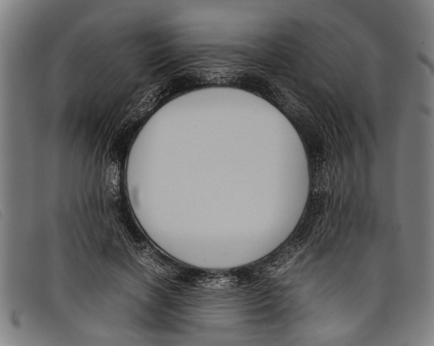 X0000097800646200804041315