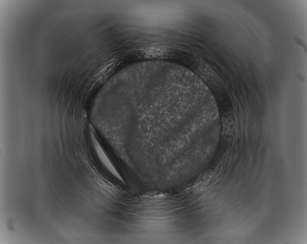 X0000097800648200804041315