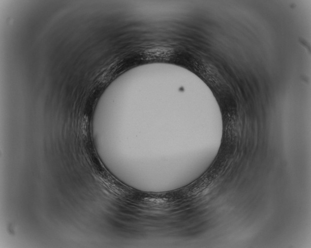 X0000097800649200804041315