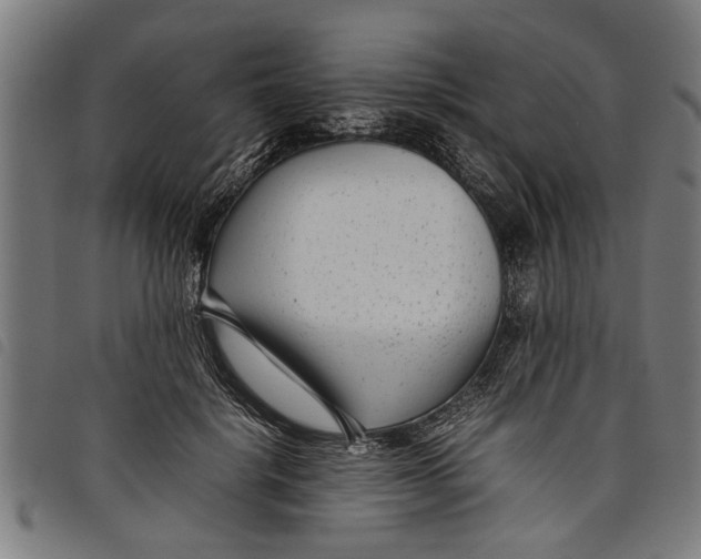 X0000097800652200804041315