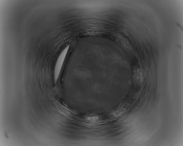 X0000097800653200804041315