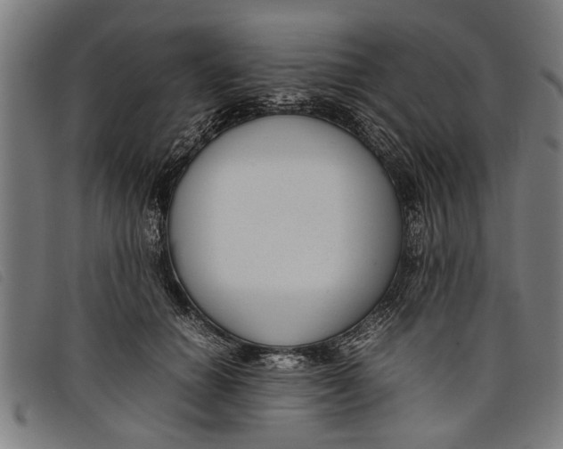 X0000097800654200804041315