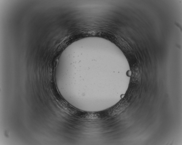 X0000097800656200804041315