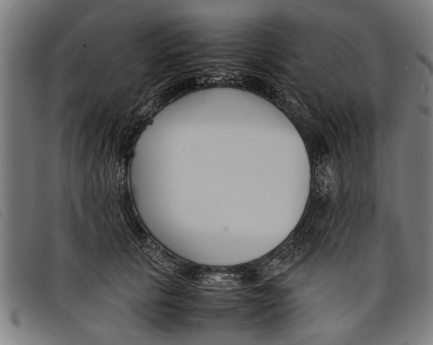 X0000097800657200804041315