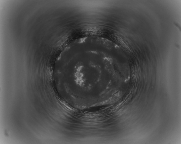 X0000097800661200804041315