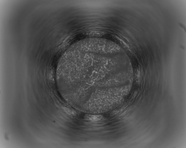 X0000097800663200804041315