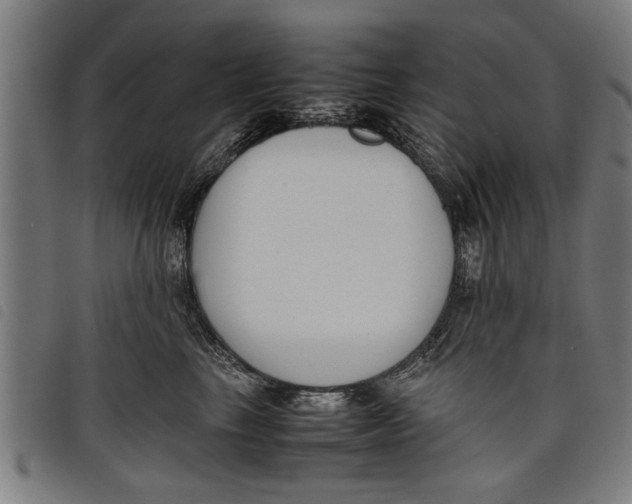 X0000097800665200804041315