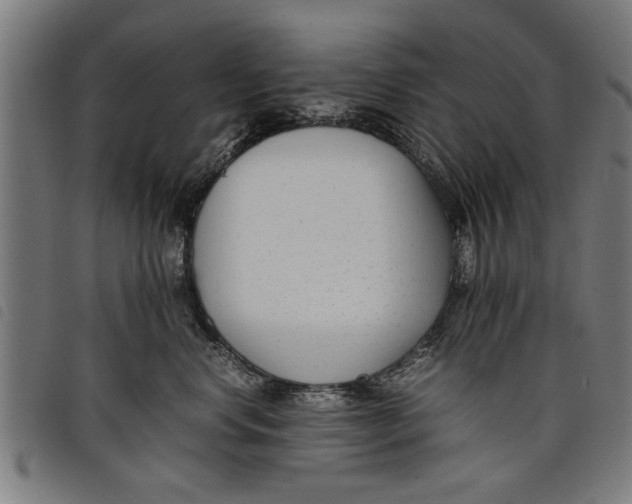 X0000097800668200804041315