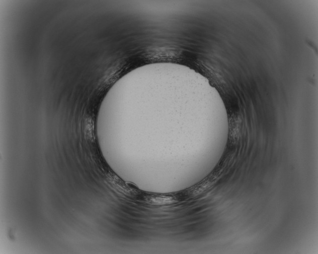 X0000097800669200804041315