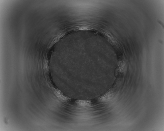 X0000097800670200804041315