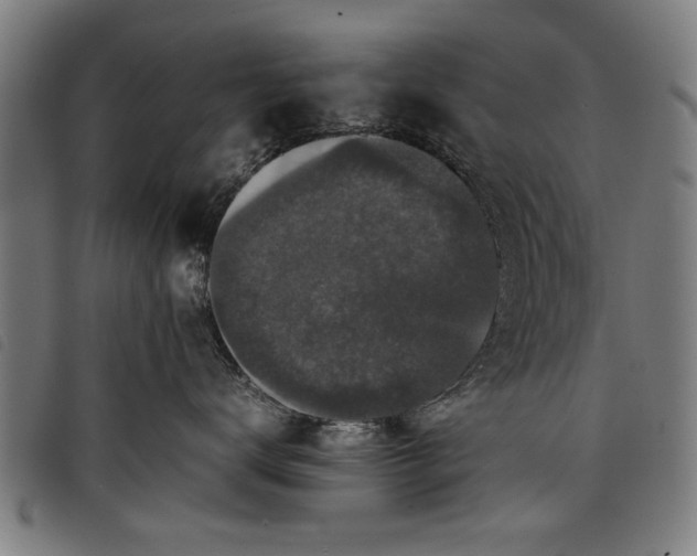 X0000097800672200804041315