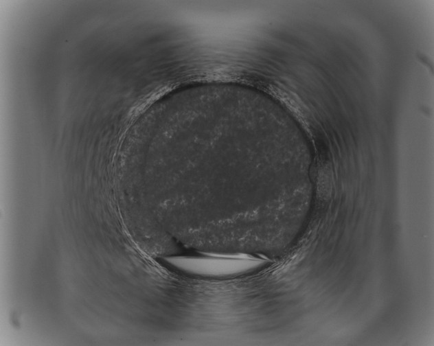 X0000097800673200804041315