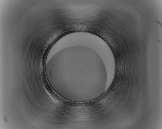 X0000097800674200804041315