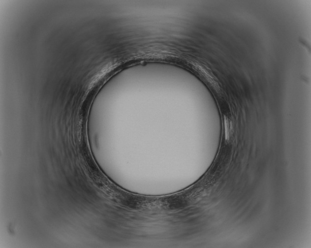 X0000097800675200804041315