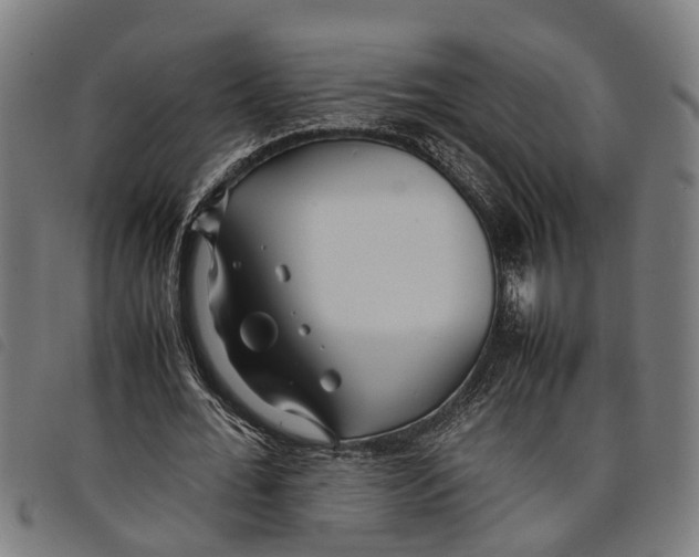 X0000097800676200804041315